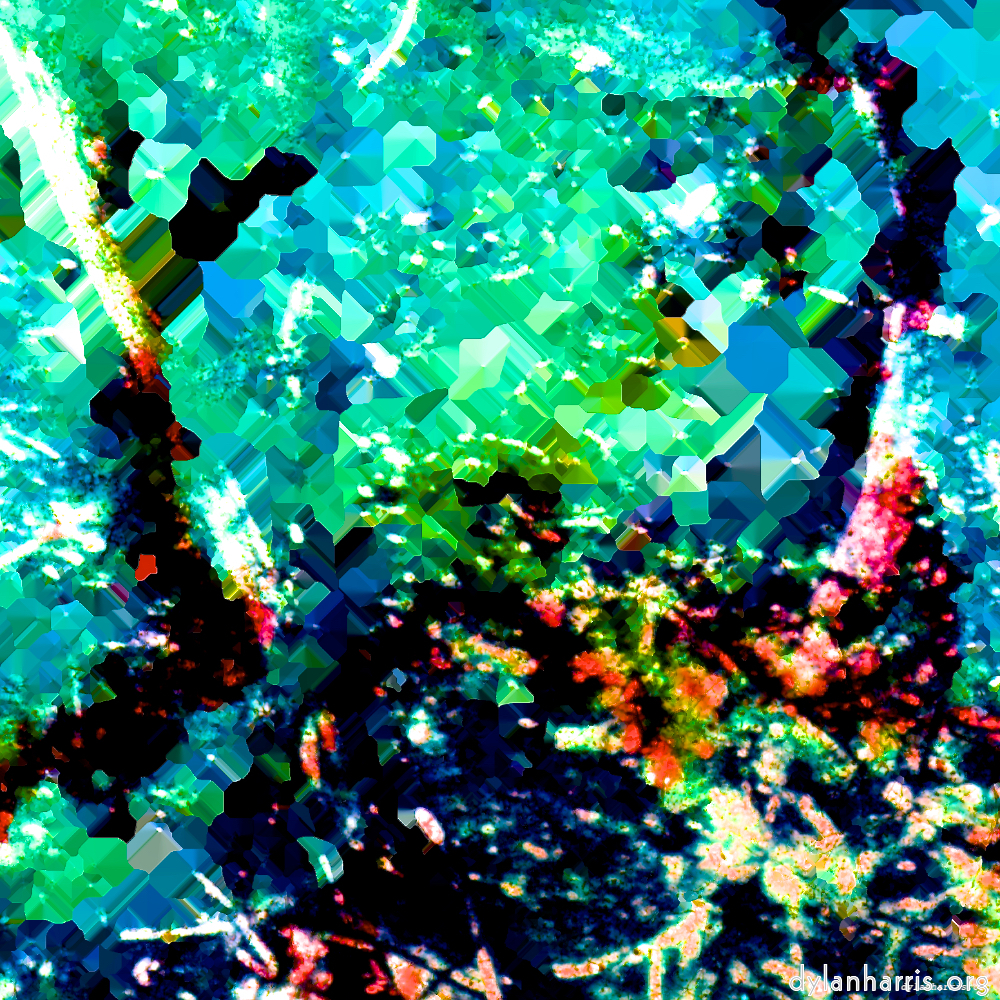 image: This is ‘
damage (lxxxi) 1
’.