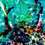 image: Image from the photoset ‘
damage (lxxxi)
’.