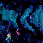 image: Image from the photoset ‘
damage (lxxxi)
’.