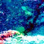 image: Image from the photoset ‘
damage (lxxxi)
’.