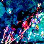 image: Image from the photoset ‘
damage (lxxxi)
’.