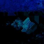 image: Image from the photoset ‘
damage (lxxxiii)
’.