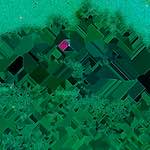 image: Image from the photoset ‘
damage (lxxxiv)
’.