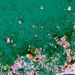 image: Image from the photoset ‘
damage (lxxxiv)
’.