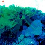 image: Image from the photoset ‘
damage (lxxxv)
’.