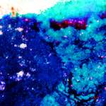 image: Image from the photoset ‘
damage (lxxxv)
’.