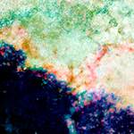 image: Image from the photoset ‘
damage (lxxxvi)
’.