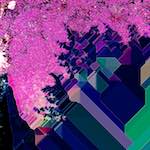 image: Image from the photoset ‘
damage (lxxxvii)
’.