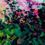 image: Image from the photoset ‘
damage (lxxxvii)
’.