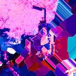 image: Image from the photoset ‘
damage (lxxxvii)
’.