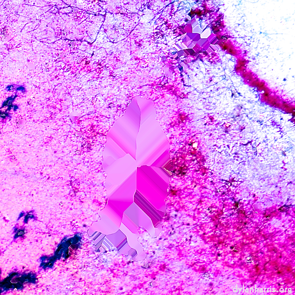 Image: Image 'damage (lxxxviii) 8'.