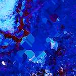 image: Image from the photoset ‘
damage (lxxxviii)
’.