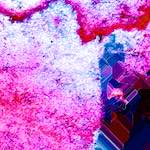 image: Image from the photoset ‘
damage (lxxxviii)
’.