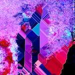 image: Image from the photoset ‘
damage (lxxxviii)
’.