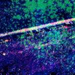 image: Image from the photoset ‘
damage (lxxxviii)
’.