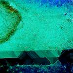 image: Image from the photoset ‘
damage (lxxxix)
’.