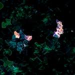 image: Image from the photoset ‘
damage (lxxxix)
’.