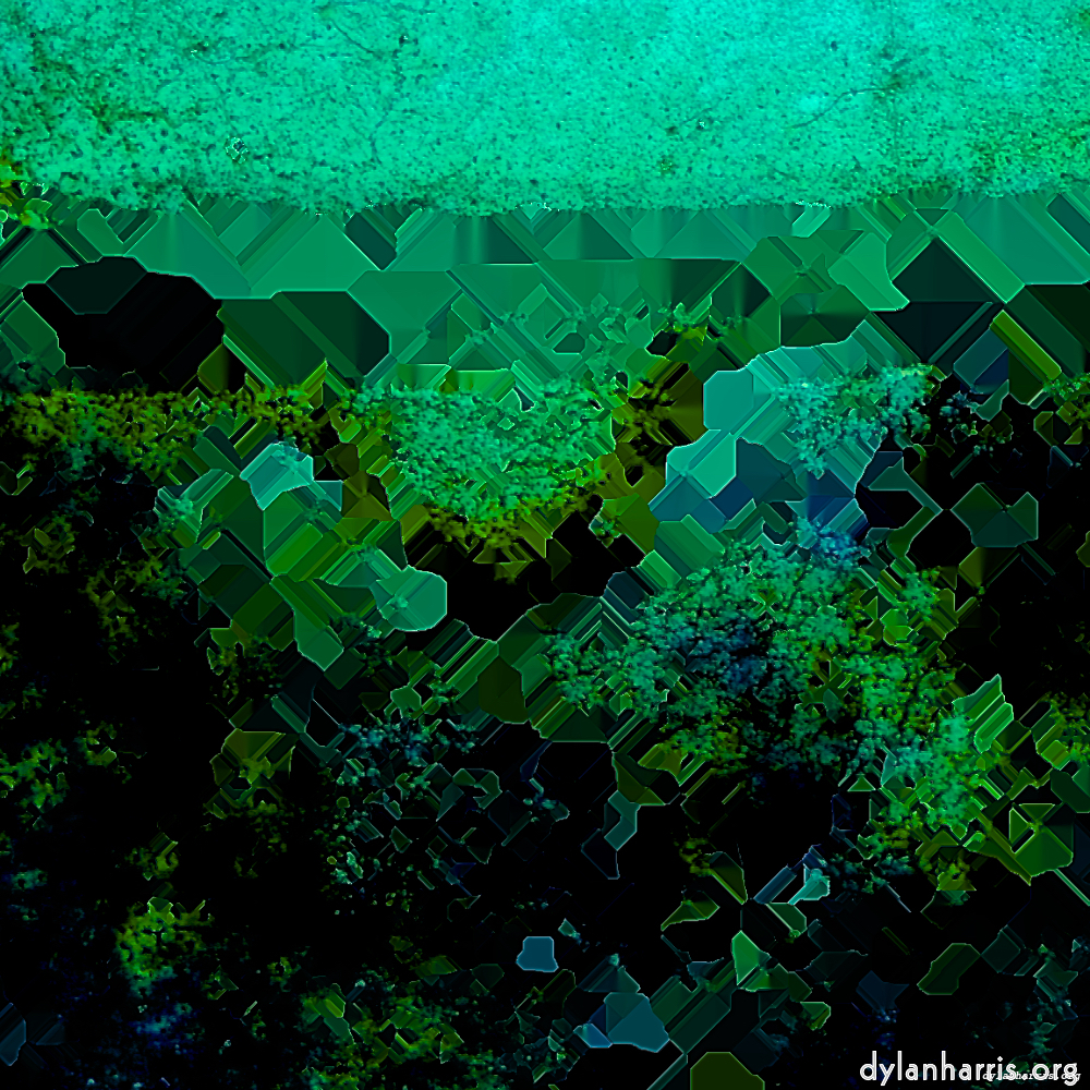 image: This is ‘
damage (xc) 2
’.