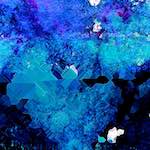 image: Image from the photoset ‘
damage (xc)
’.