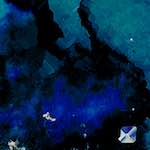 image: Image from the photoset ‘
damage (xcii)
’.