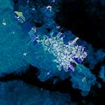 image: Image from the photoset ‘
damage (xcii)
’.