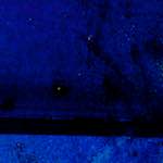 image: Image from the photoset ‘
damage (xcii)
’.