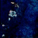 image: Image from the photoset ‘
damage (xcii)
’.