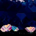 image: Image from the photoset ‘
damage (xciii)
’.