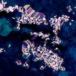 image: Image from the photoset ‘
damage (xciii)
’.