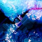 image: Image from the photoset ‘
damage (xciv)
’.