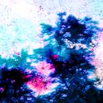 image: Image from the photoset ‘
damage (xcvi)
’.