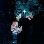 image: Image from the photoset ‘
damage (xcvi)
’.