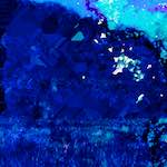 image: Image from the photoset ‘
damage (xcvii)
’.