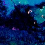 image: Image from the photoset ‘
damage (xcvii)
’.