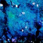 image: Image from the photoset ‘
damage (xcix)
’.