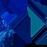 image: Image from the photoset ‘
damage (ci)
’.