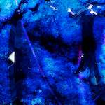 image: Image from the photoset ‘
damage (ci)
’.