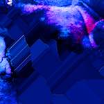 image: Image from the photoset ‘
damage (cii)
’.