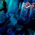 Third image from the photoset 'damage (civ)'.