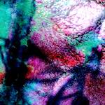 image: Image from the photoset ‘
damage (cv)
’.