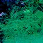 image: Image from the photoset ‘
damage (cvi)
’.