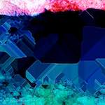 image: Image from the photoset ‘
damage (cvi)
’.