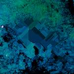 image: Image from the photoset ‘
damage (cvii)
’.