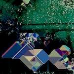 image: Image from the photoset ‘
damage (cviii)
’.