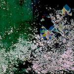 image: Image from the photoset ‘
damage (cviii)
’.