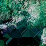 image: Image from the photoset ‘
damage (cviii)
’.