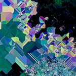 image: Image from the photoset ‘
damage (cix)
’.