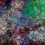 image: Image from the photoset ‘
damage (cx)
’.