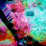 image: Image from the photoset ‘
damage (cx)
’.