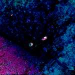 image: Image from the photoset ‘
damage (cxi)
’.